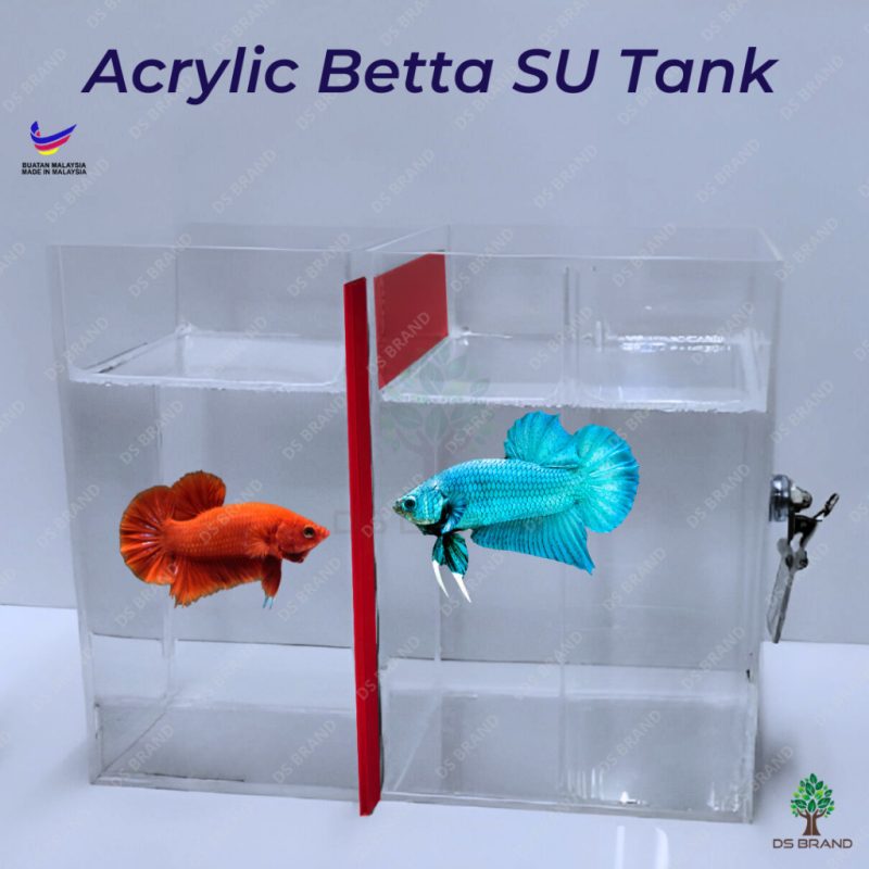 SU Tank Betta Fish Divider / Acrylic Betta Tank / Training Mirror / Penghalang Ikan Laga / Penyekat Balang Ikan Betta