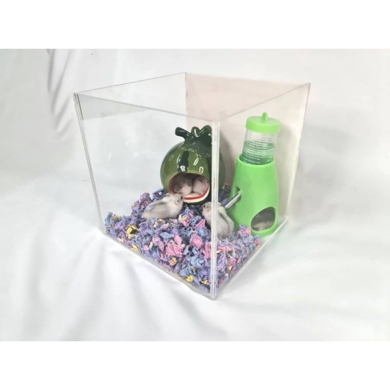 Acrylic Display Case for Models Collectibles. Size SS1 - Image 3