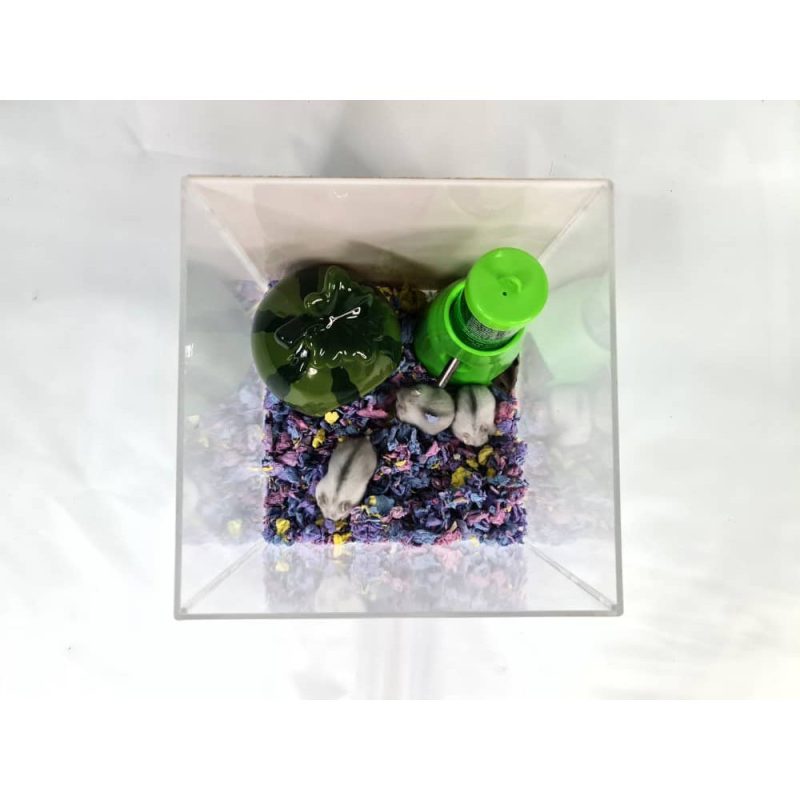 Acrylic Display Case for Models Collectibles. Size SS3 - Image 4