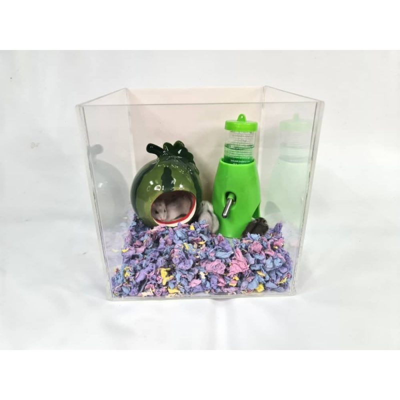 Acrylic Display Case for Models Collectibles. Size SS3 - Image 2