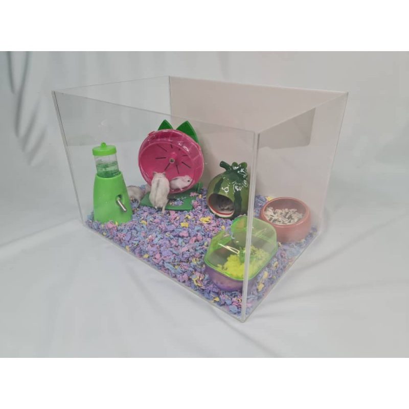 Acrylic Display Case for Models Collectibles. Size M1 - Image 4