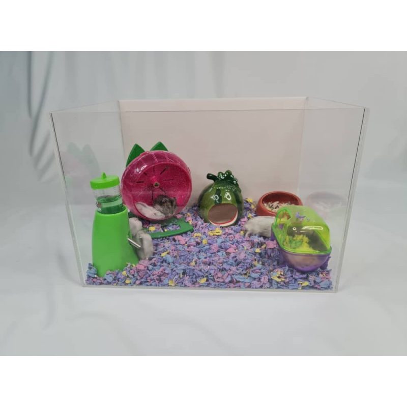Acrylic Display Case for Models Collectibles. Size M2 - Image 2