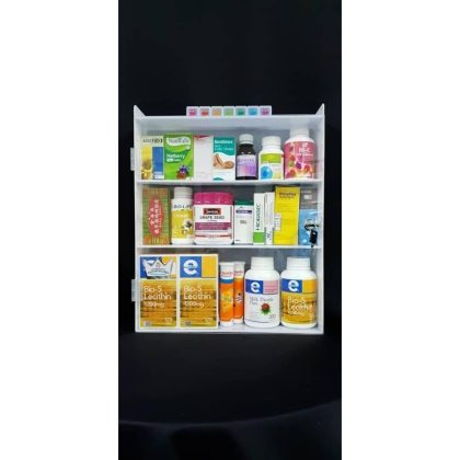 🔥READY STOCK🔥Modern, Stylish First Aid & Medication Storage Case