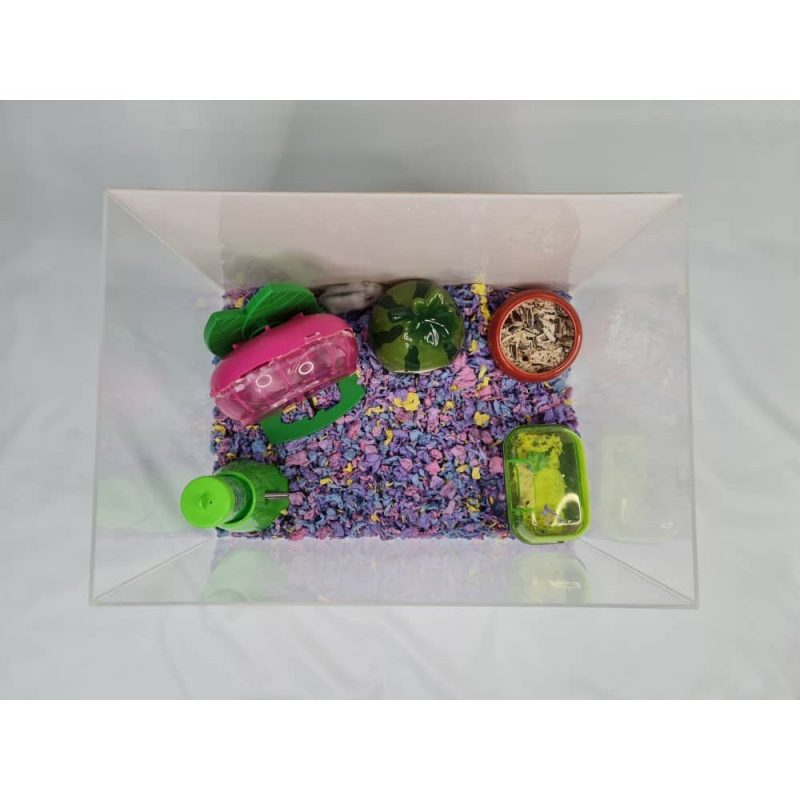 Acrylic Display Case for Models Collectibles. Size M2 - Image 3